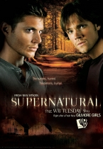 Supernatural season 5