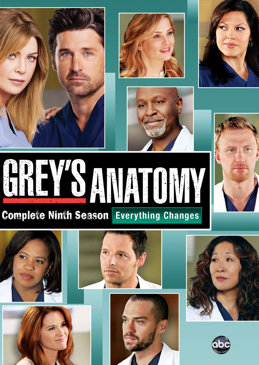 Greys Anatomy Season 9